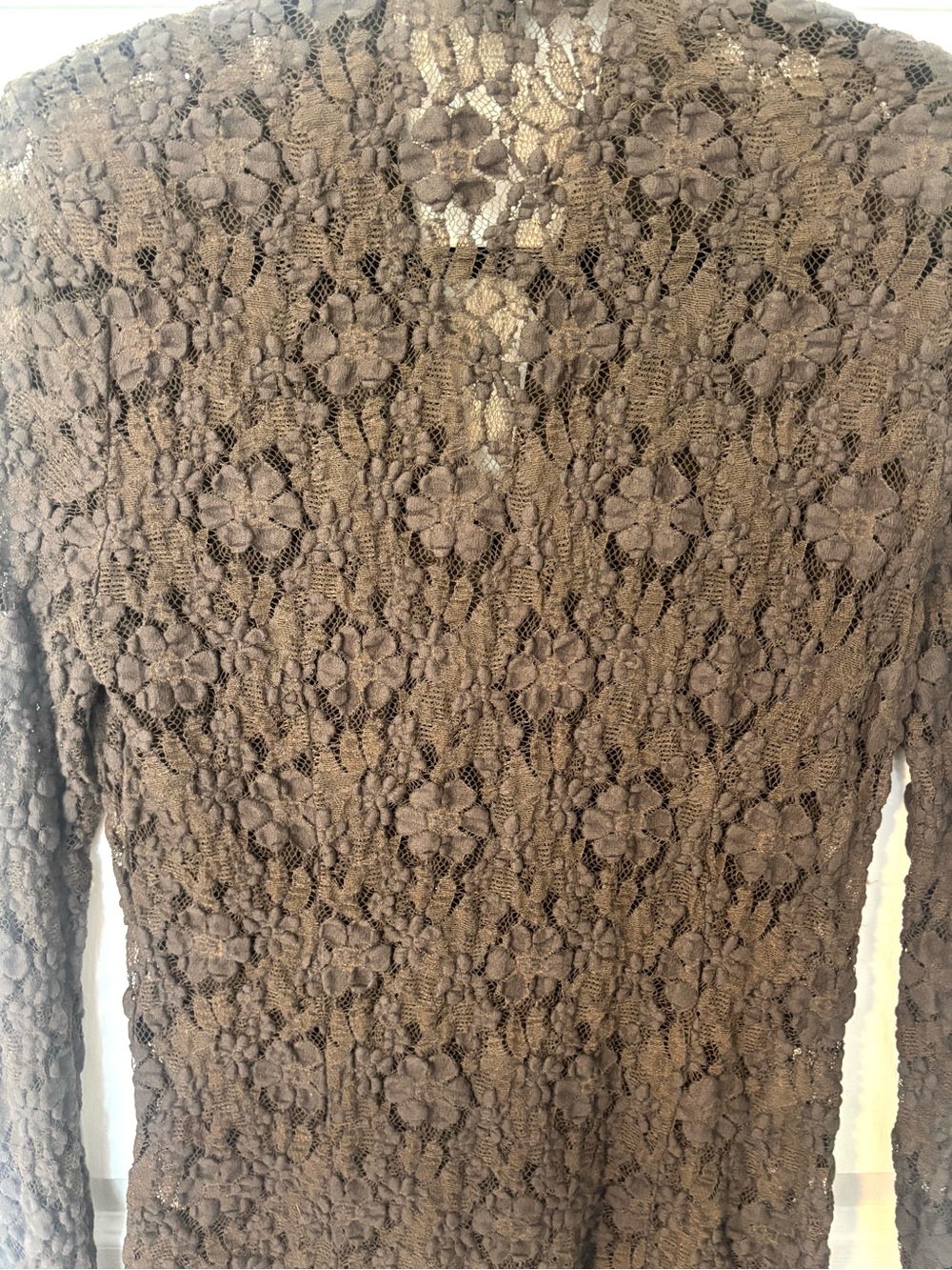 Fairy Grunge Lace Button-Front with Collar Shirt Whimsigoth Sheer - Picture 5 of 10